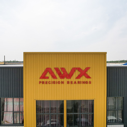 Shandong Awx Bearing  Co., Ltd. 製造者の生産ライン